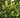 6240550_edd8b34e-c9be-4f61-b9d0-70f73683b717